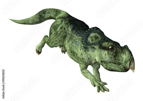 3D Rendering Dinosaur Protoceratops on White