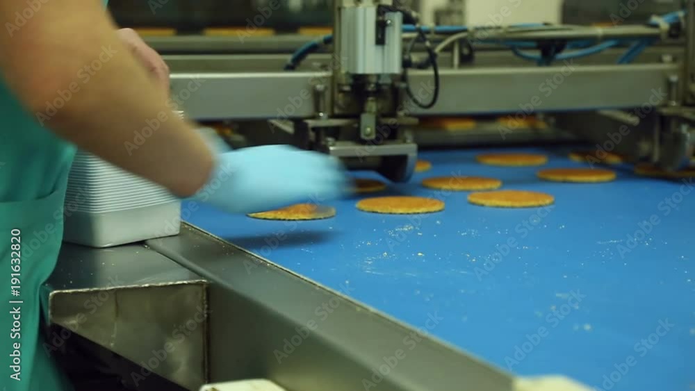 biscuits on the conveyor confectionery biscuits on the conveyor confectionery