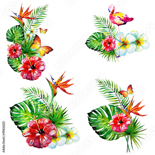 beautiful red flowers ,palm leaves,set, watercolor on a white © aboard