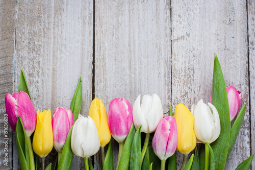 Fototapeta Naklejka Na Ścianę i Meble -  Fresh tulips on a pink wooden background for Mother's Day.