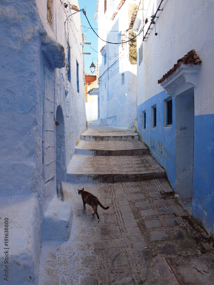 Alley of Chefchaouen