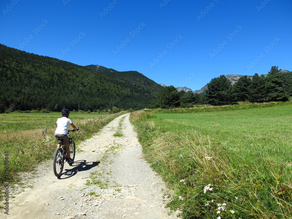 Vélo tout terrain dans la verdure sur chemin