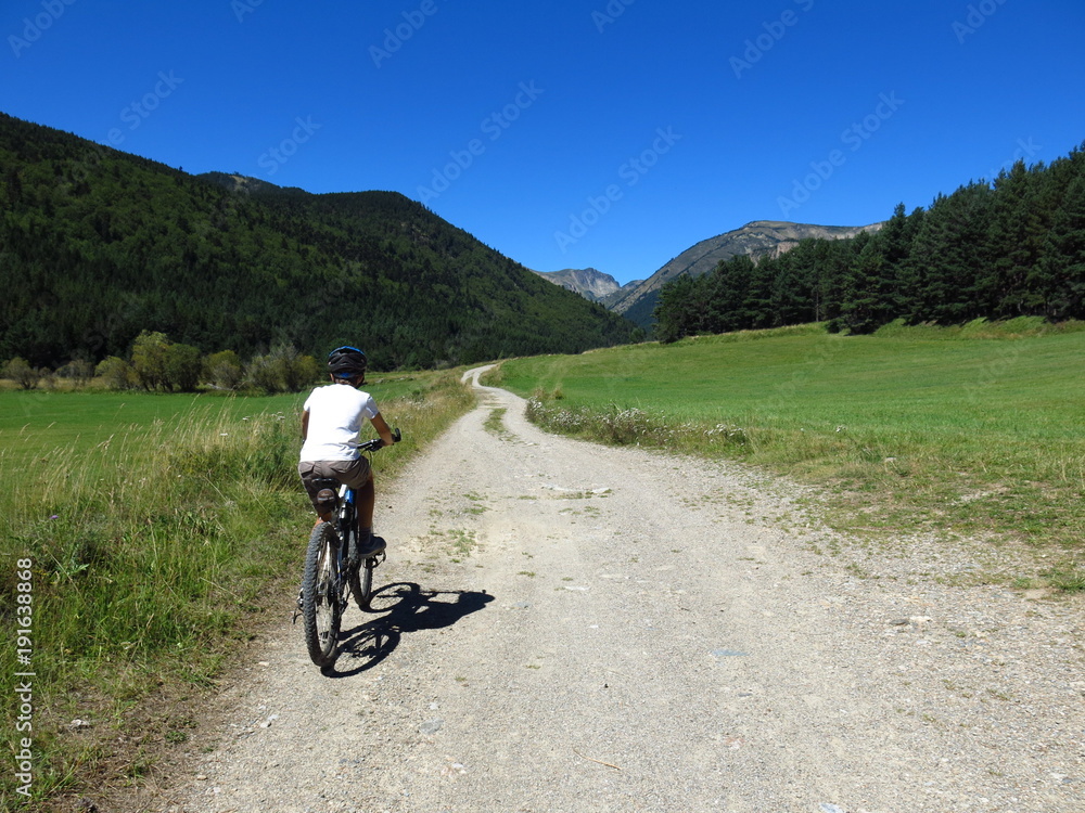 Vélo tout terrain dans la verdure sur chemin