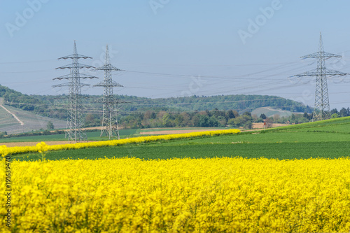 Freileitungsmasten und Rapsfeld