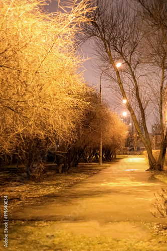 evening walk in the Park