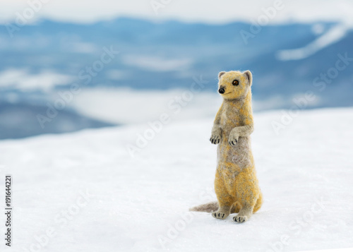 .mongoose on top of a mountain  a symbol of strength and endurance
