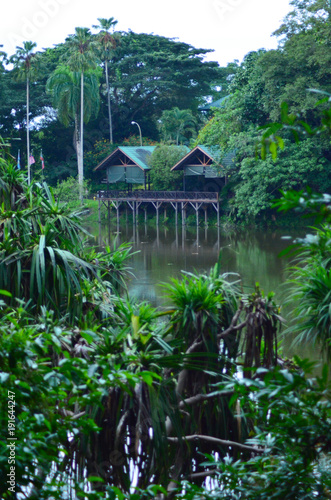 Borneo Sabah Nature