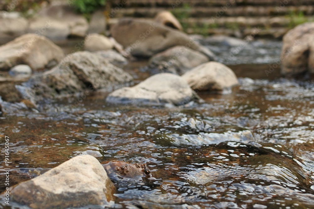 river in japan