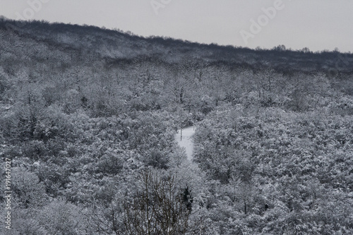 La forêt de l'Hautil à Triel-sur-Seine sous la neige © Biographiste