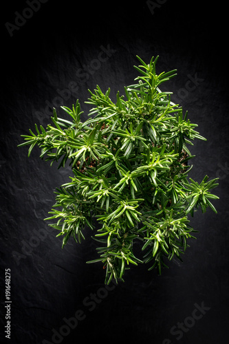 Fresh rosemary, aromatic herb, top view, black background