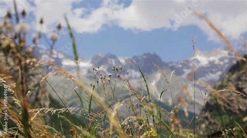 Meadow herbs sway at mountain background rack focus view from below. Wild flowers weed grass in motion at snow-capped peaks of Mont Blanc Alps range in summer windy day with construction crane at foot