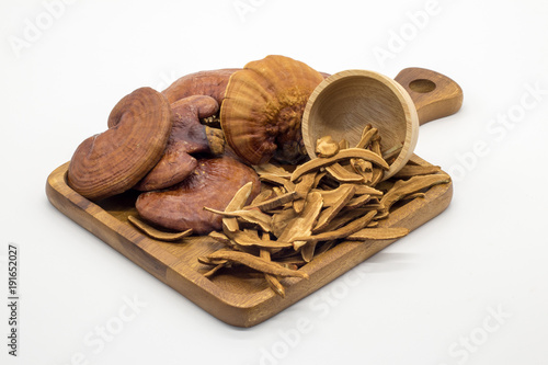 Wallpaper Mural Lingzhi Mushroom Torontodigital.ca