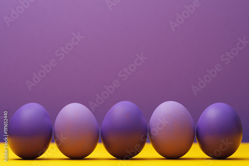 Chicken eggs colored in purple with space for text