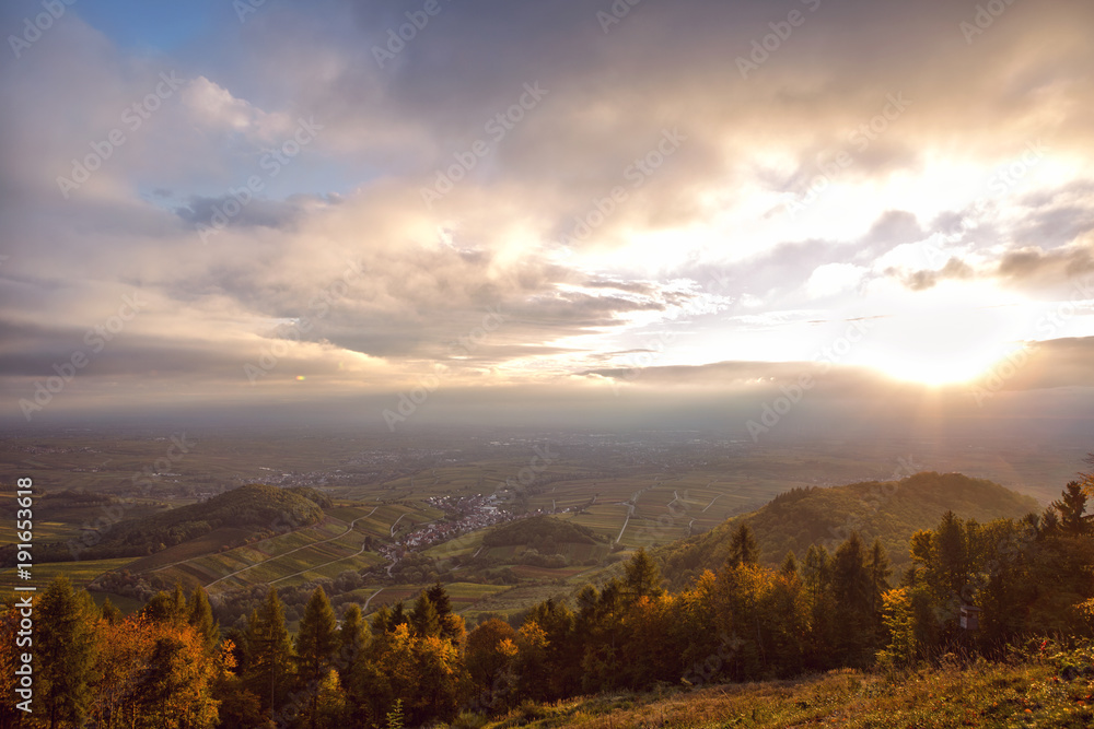 Rhine valley vineyards germany