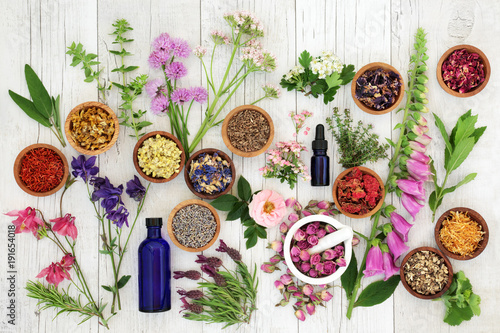 Natural herbal medicine selection with herbs and flowers in wooden bowls and loose, glass aromatherapy essential oil bottles and mortar with pestle on rustic wood background. Top view. photo