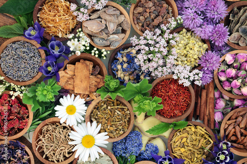 Canvas Print Herbal medicine with herbs and flowers used in chinese and natural alternative remedies with forming an abstract background