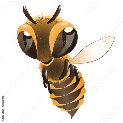 Happy bee. Cartoon character fling bee.