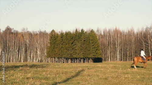 катание на лошади