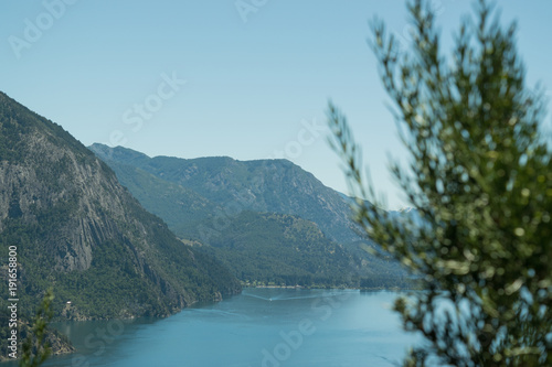 Photo from the height with lake and mountains in the background and tree in defocused plane
