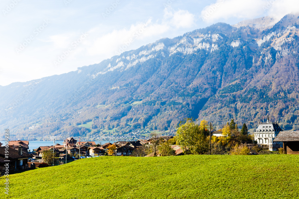 Idyllic landscape in the Alps with fresh green meadows and blooming flowers and snowcapped mountain tops in the background