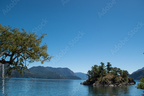 Lake Landscape with a tree, mountains background and blue sky