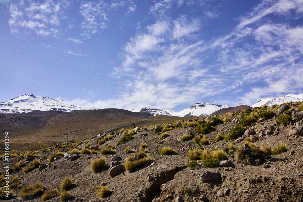 Arid Atacama Desert Terrain and Snow Capped Andes Peaks