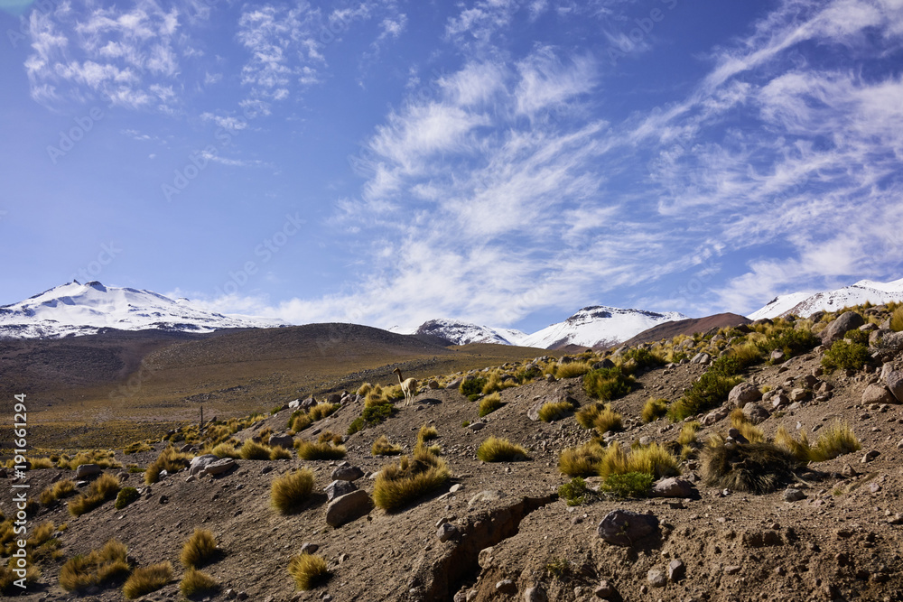 Fototapeta premium Arid Atacama Desert Terrain and Snow Capped Andes Peaks