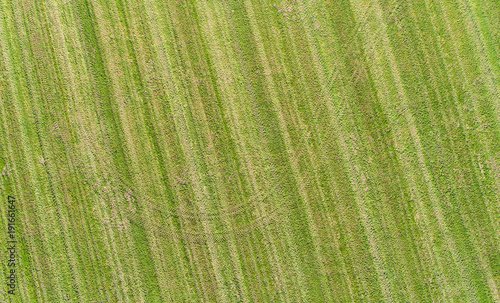 An aerial view of a field
