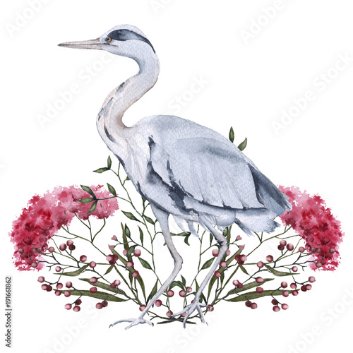 Gray heron and bush of rustic plants. Isolated on white background. 