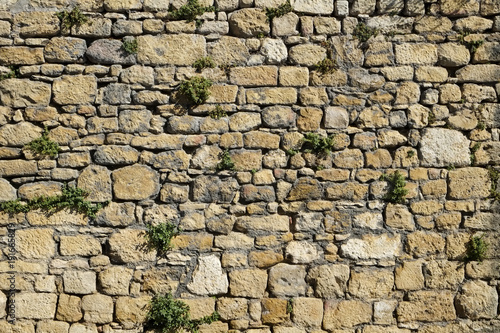 Old rubble stone wall with vegetation growing on it