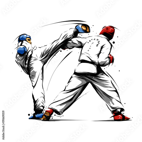 Wallpaper Mural taekwondo action 4