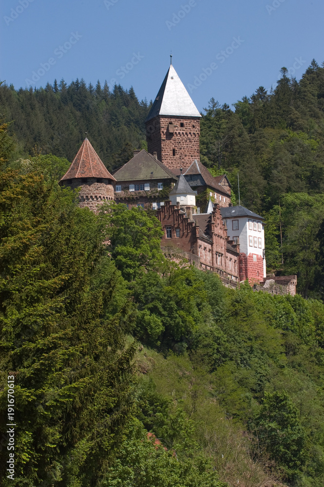 Burg Zwingenberg am Neckar