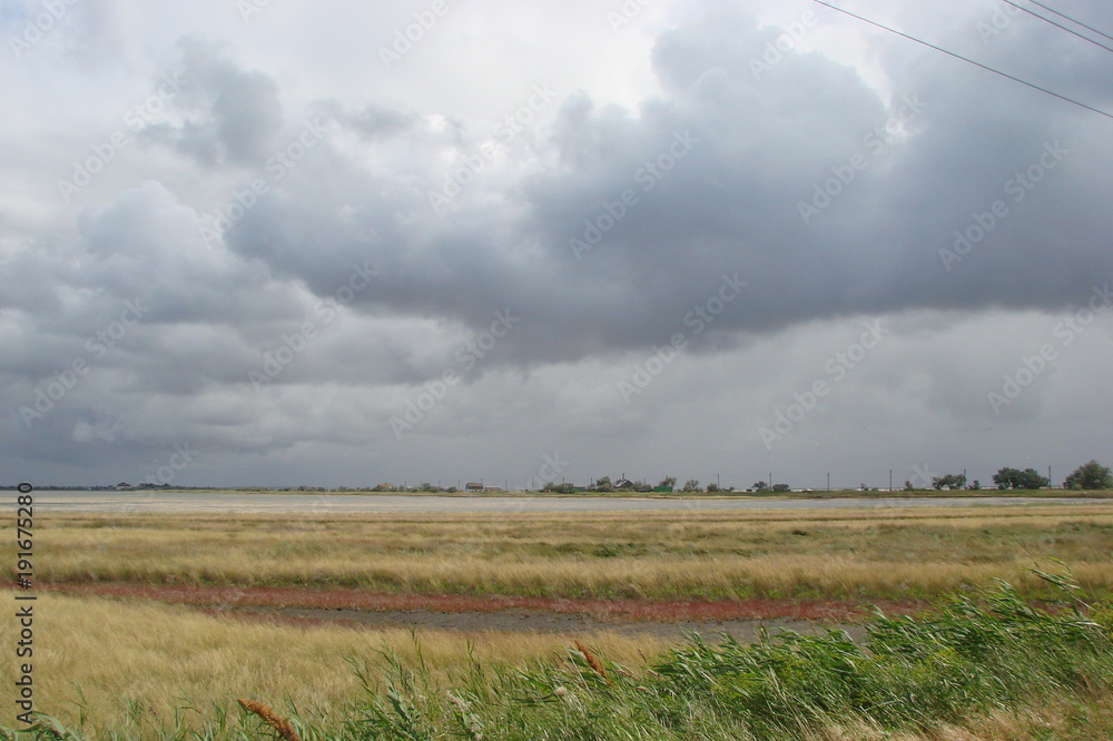 Obraz premium The landscape of healing swamps and herbs of the Ukrainian steppe near the Azov Sea on the background of a cloudy sky.
