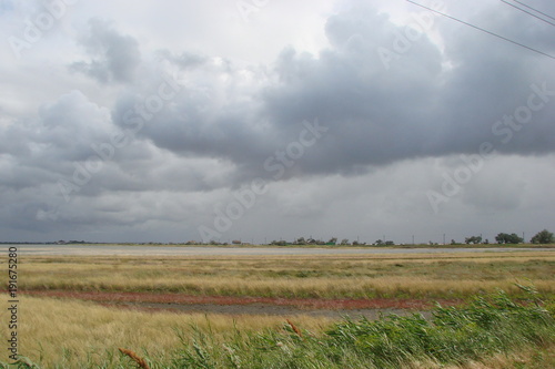 The landscape of healing swamps and herbs of the Ukrainian steppe near the Azov Sea on the background of a cloudy sky.