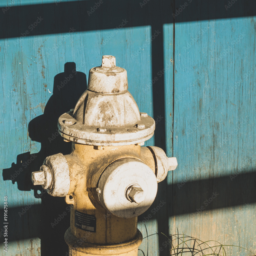Fototapeta premium fire hydrant 