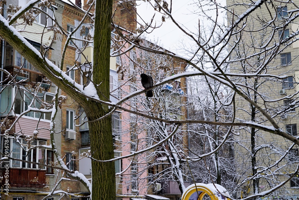 Obraz premium without special residence