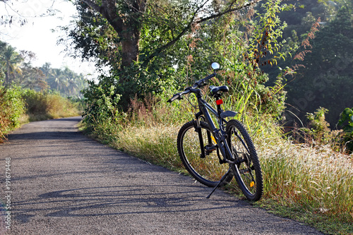 Bicycle parked on a winter morning while riding along tranquil countryside road in Kerala, India