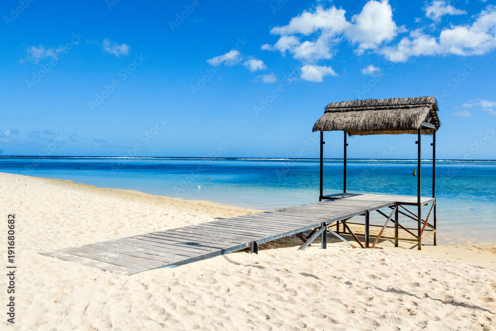 Fototapeta premium Beautiful tropical sunny landscape