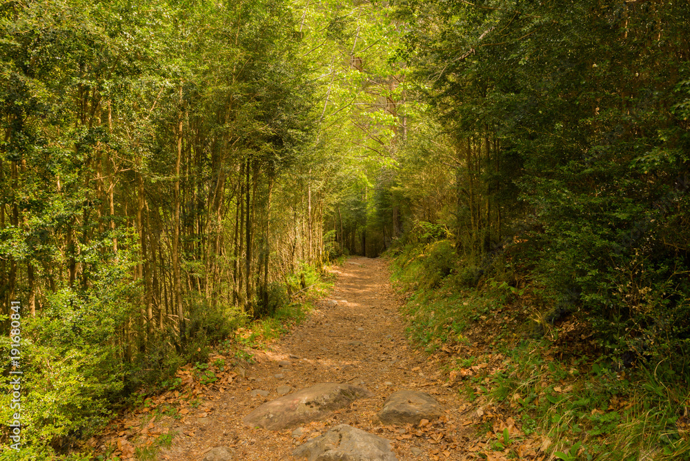 Fototapeta premium Hiking in torla ordesa, pyrenees of huesca
