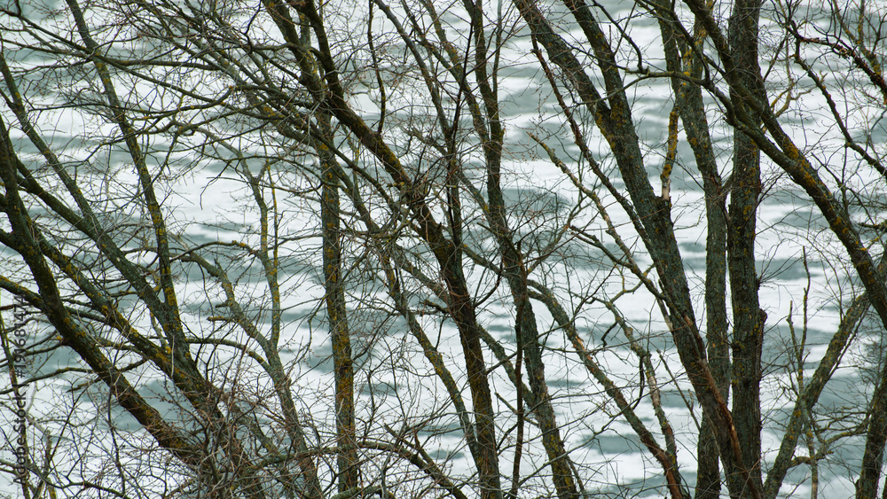 Obraz premium Spring on the river bank