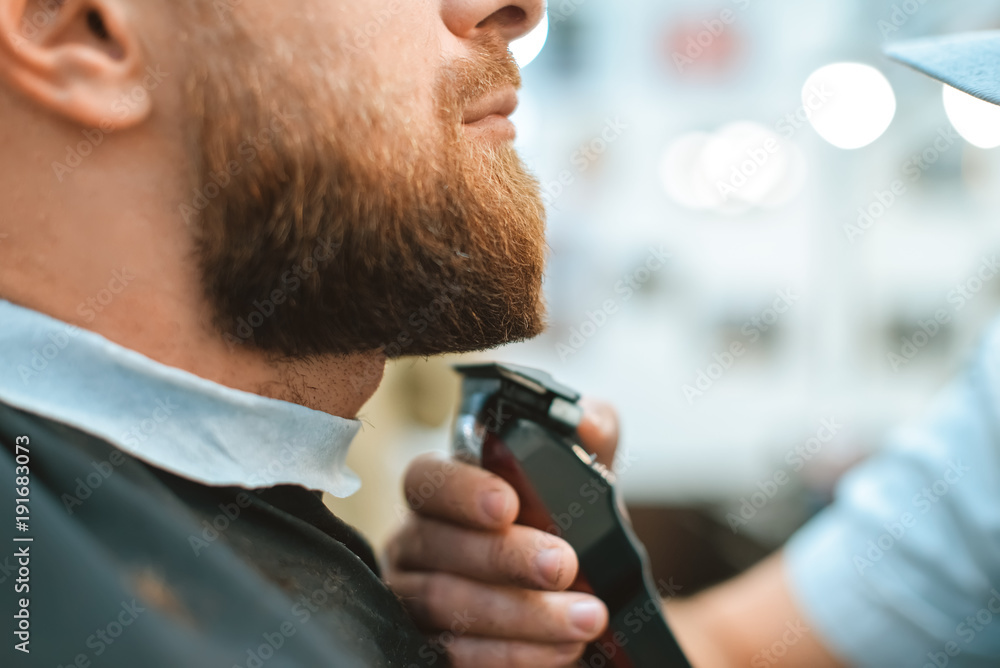 Fototapeta premium Shave the beards in the barber shop.