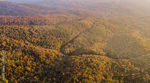 Drone aerial view of a forest during peak fall foliage in the morning with a road in the middle.