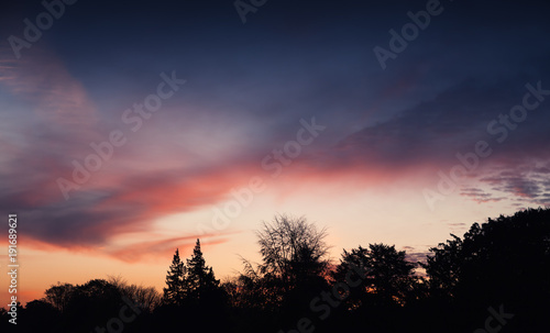 Colorful sunset over dark forest silhouette
