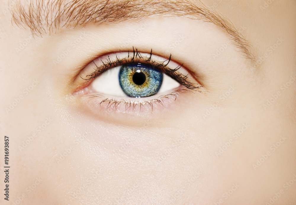 Obraz premium A beautiful insightful look woman's eye. Close up shot.