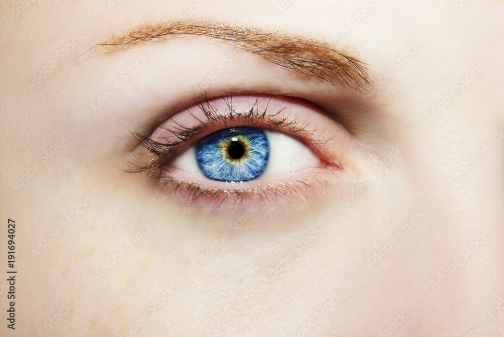 Fototapeta premium A beautiful insightful look woman's eye. Close up shot.