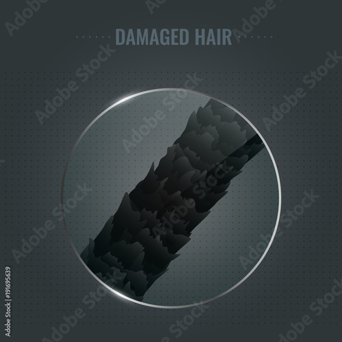 Surface of damaged hair with ragged cuticle edges under the microscope. Hair follicle closeup. Trichology medical concept. Vector illustration.