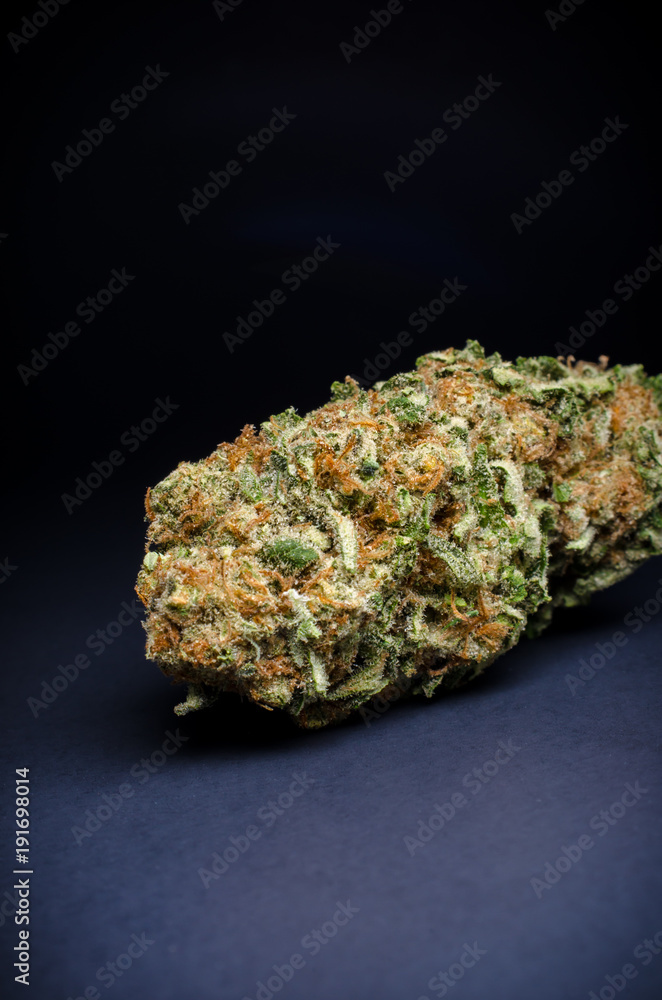 Cannabis Nug - Strain: Pineapple Express Cannabis Nug - Strain: Pineapple Express
