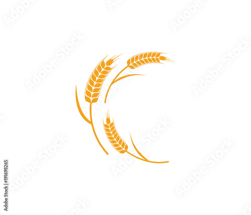 vector logo design and elements of wheat grain, wheat ears, wheat seed, or wheat rye