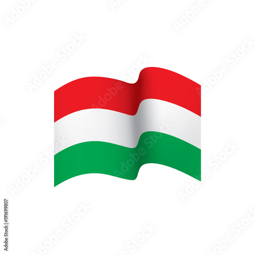 Free Download Hungary flag, vector illustration - GFXLoad