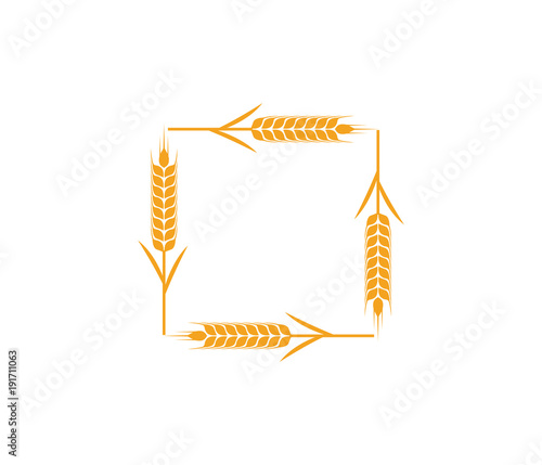 vector logo design and elements of wheat grain, wheat ears, wheat seed, or wheat rye